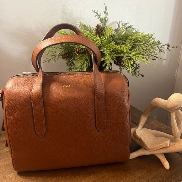 Fossil Sydney Satchel (NWT) - Picture 1 of 10